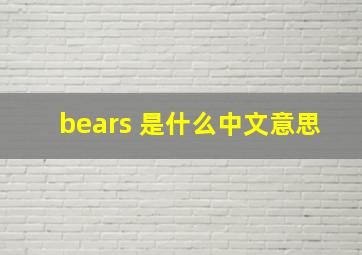 bears 是什么中文意思